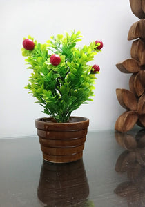 Cherry planter